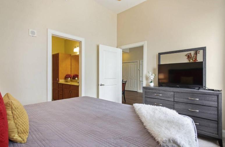 Amazing Condos Beautiful View 2 Blocks To French Quarter, Small Rooftop Pool, Gym, Seanger Theater, Super Dome, And Bourbon St New Orleans Exterior foto